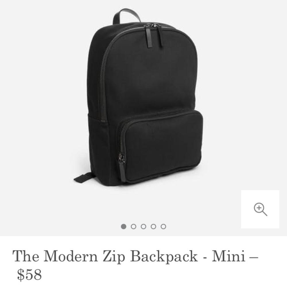 Everlane modern zip mini backpack